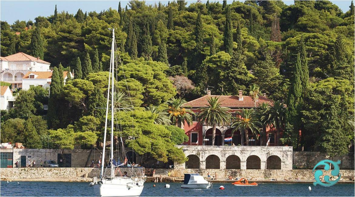 Luxury Apartment Antonija-Old Town Cavtat Exterior photo